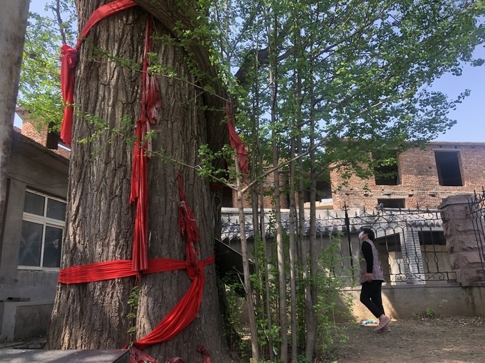 微信圖片_20220413091052.jpg 微信圖片_20220413091052.jpg